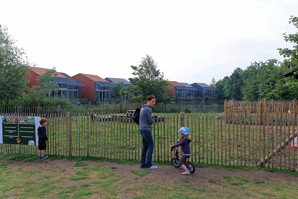 SP0617 (15).jpg